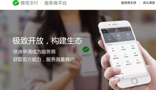江蘇中理網絡科技 服務商定位、準入路徑與網絡技術服務解析